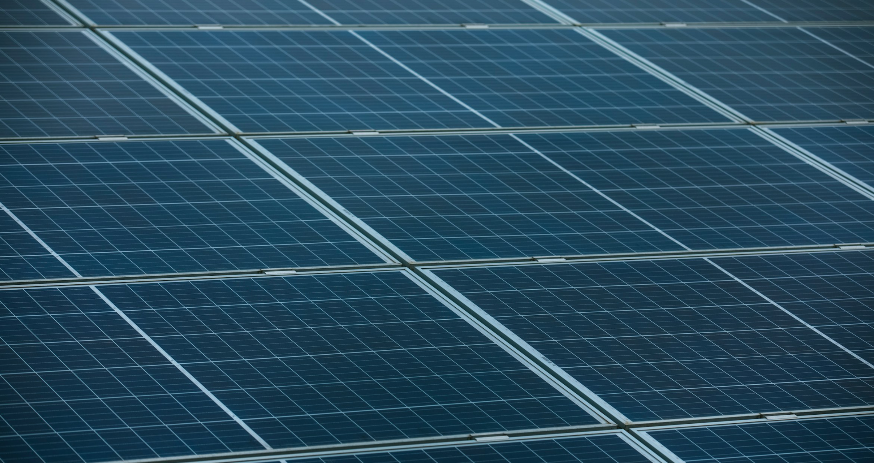 Green Hydrogen: Who is leading the worldwide race?